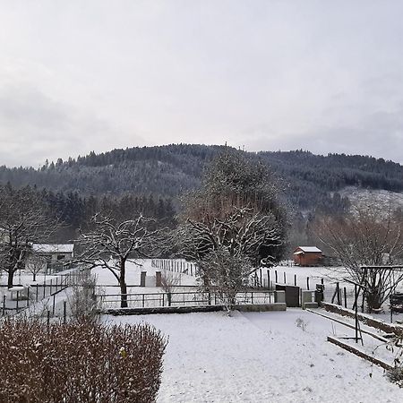 Chez Vovone 3 Etoiles Clevacances Saulxures-sur-Moselotte Экстерьер фото