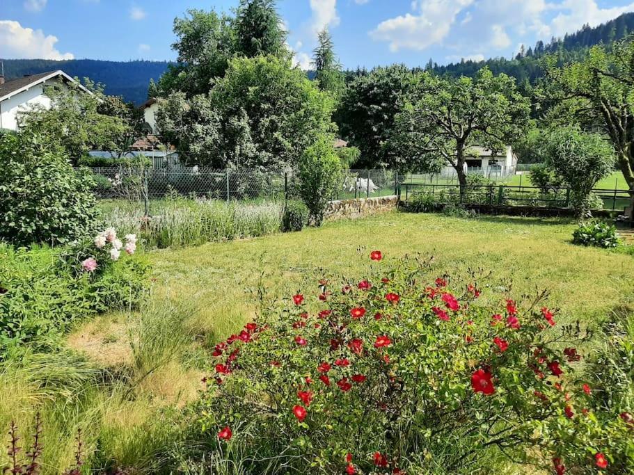 Chez Vovone 3 Etoiles Clevacances Saulxures-sur-Moselotte Экстерьер фото