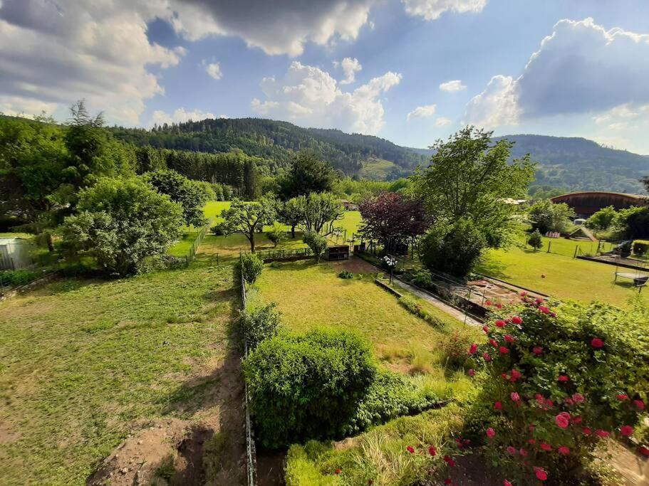 Chez Vovone 3 Etoiles Clevacances Saulxures-sur-Moselotte Экстерьер фото