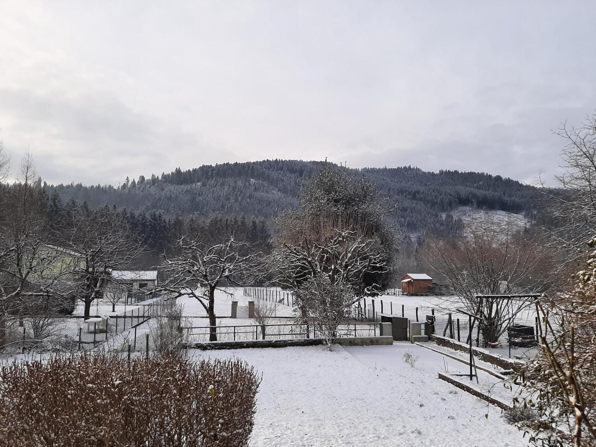 Chez Vovone 3 Etoiles Clevacances Saulxures-sur-Moselotte Экстерьер фото