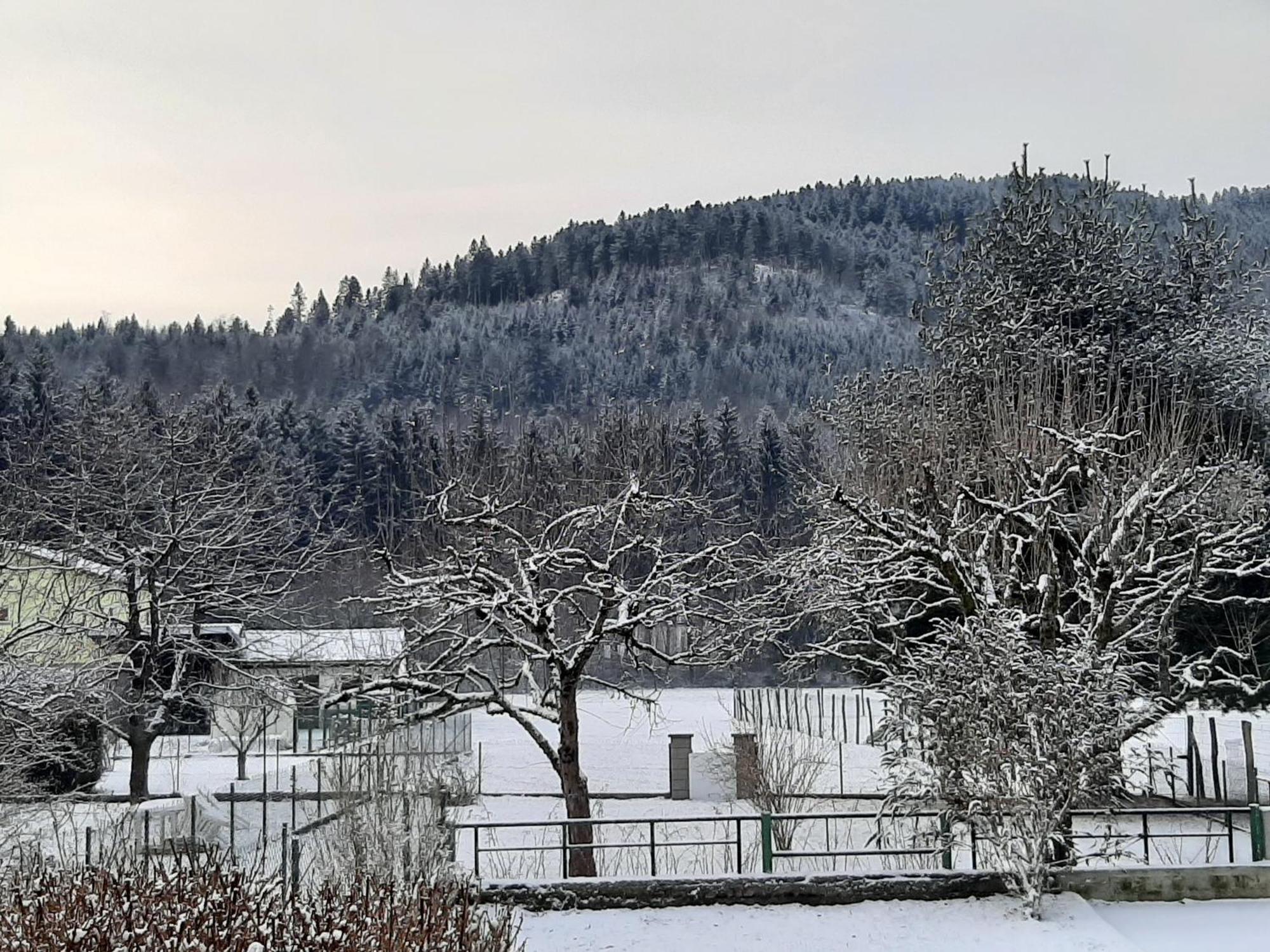 Chez Vovone 3 Etoiles Clevacances Saulxures-sur-Moselotte Экстерьер фото