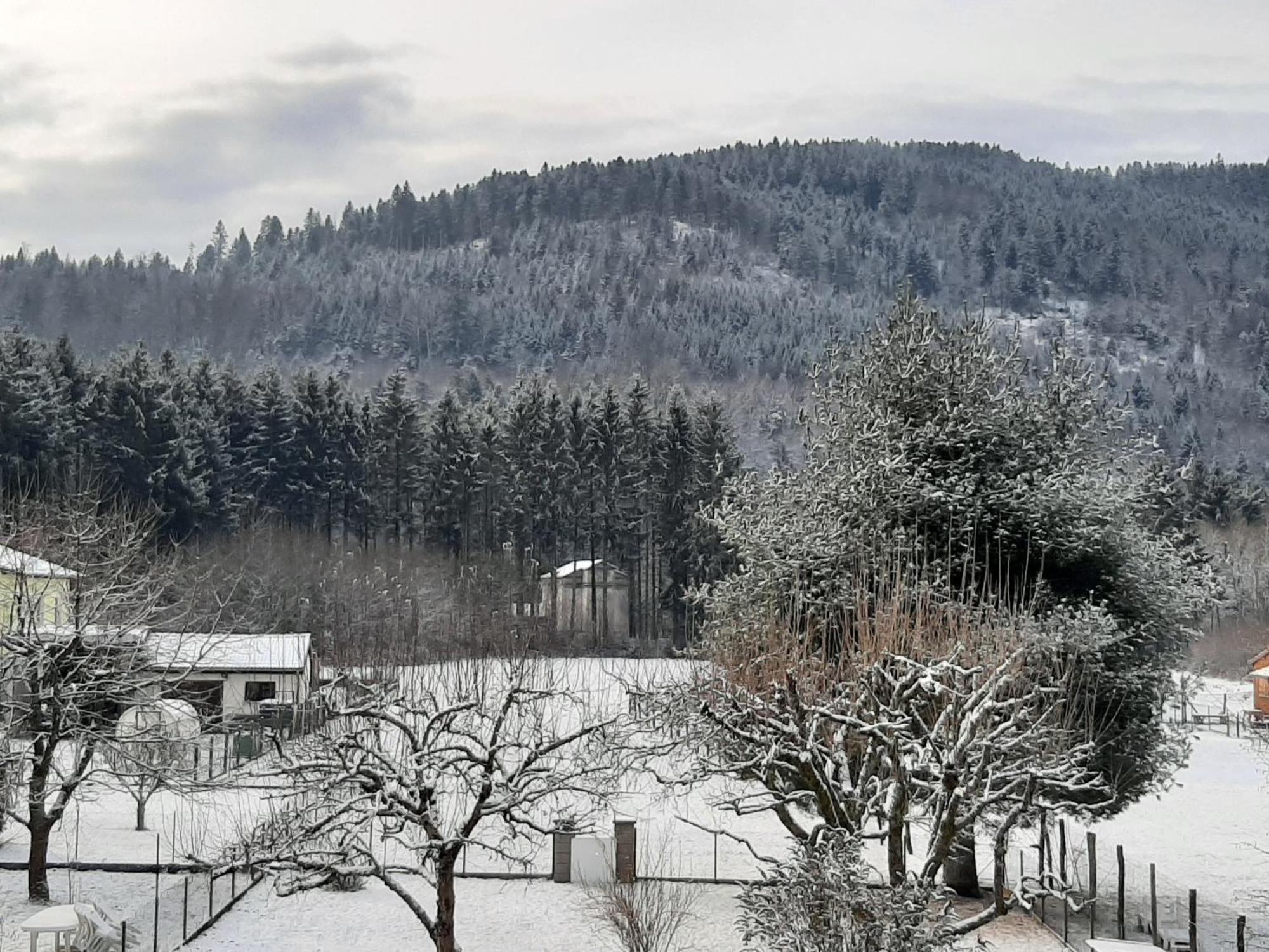 Chez Vovone 3 Etoiles Clevacances Saulxures-sur-Moselotte Экстерьер фото