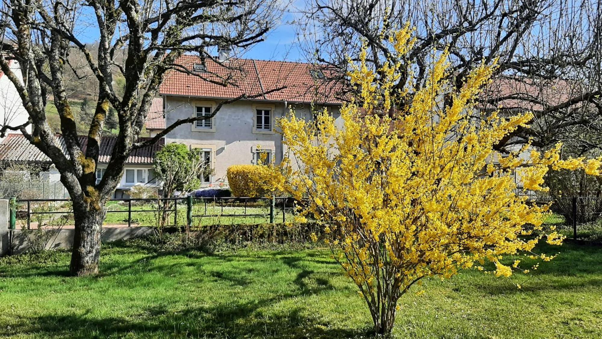 Chez Vovone 3 Etoiles Clevacances Saulxures-sur-Moselotte Экстерьер фото